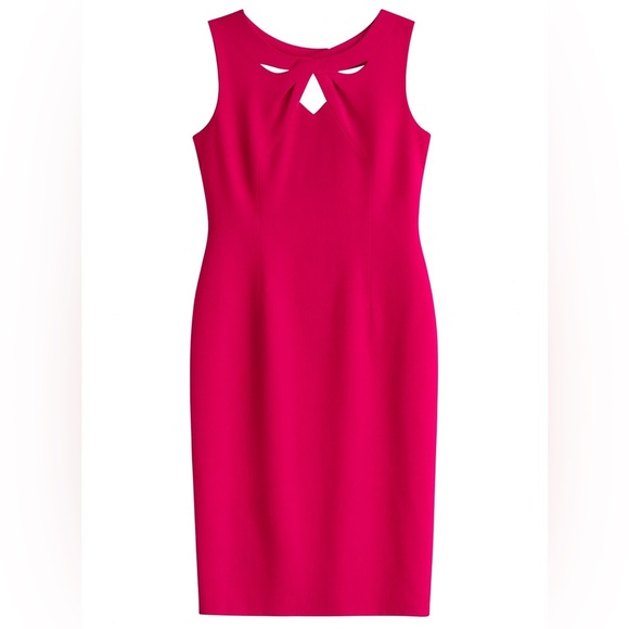 NWT Nipon Boutique Sleeveless Sheath Dress Cutout Work Rasberry Pink Size 12 - Picture 1 of 9